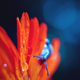 Illustration for article titled Wildlife photos that blur the line between reality and fantasy
